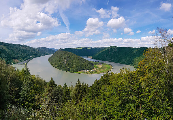 Schlögen Loop