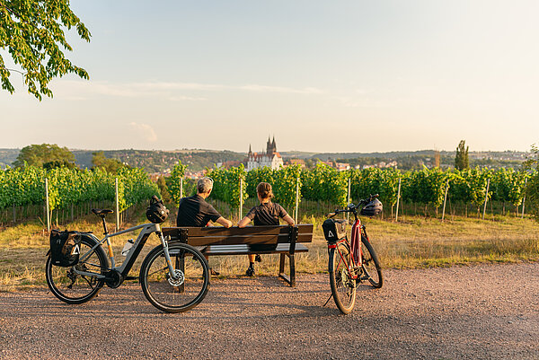 Aussicht auf Weinberge in Albrechtsburg