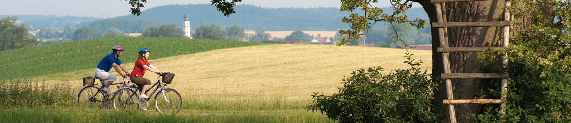 Zwei Radler am Altmühlradweg