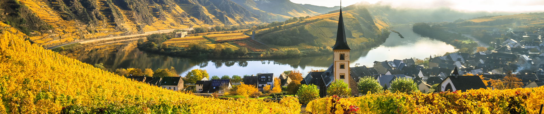 Herbst Mosel