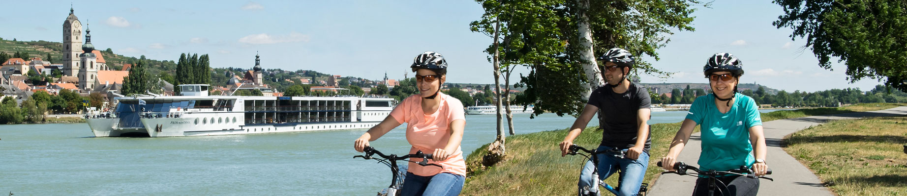 Rad und Schiff an der Donau